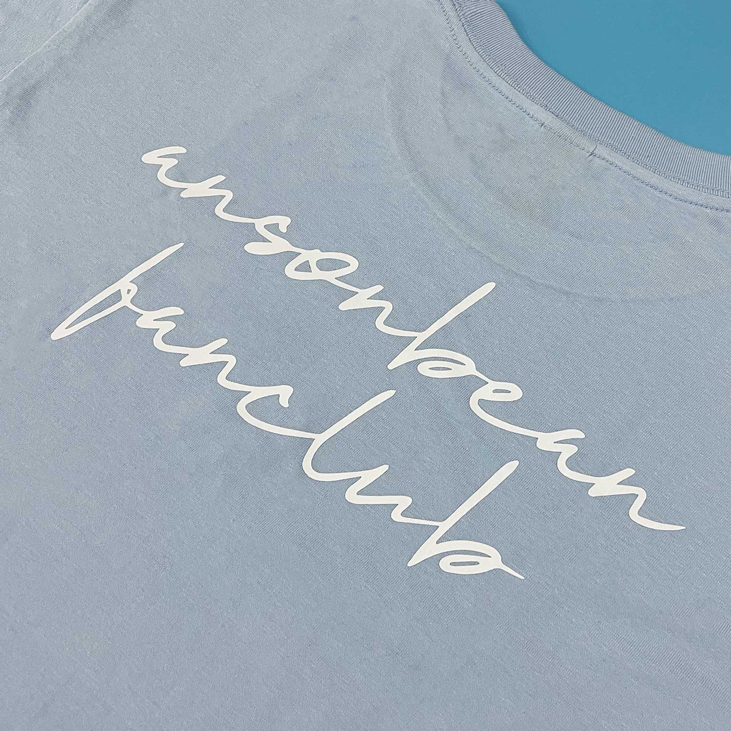 Gildan 760000 Tshirt 印Tee 印班衫 印班Tee 公司製服 印T-Shirt